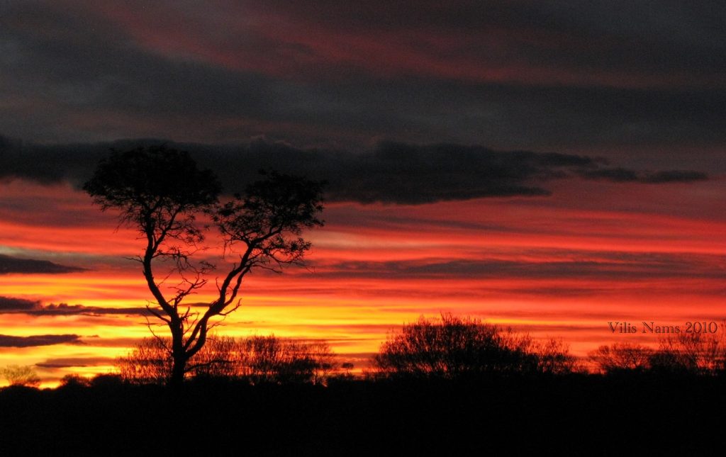Exploring Faith: How Do We Spread Beauty In This World?: Desert Sunset, Western Australia (© Vilis Nams)