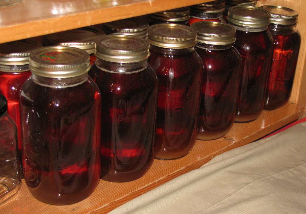 Maple Syrup – Amber in the Pantry (© Magi Nams)