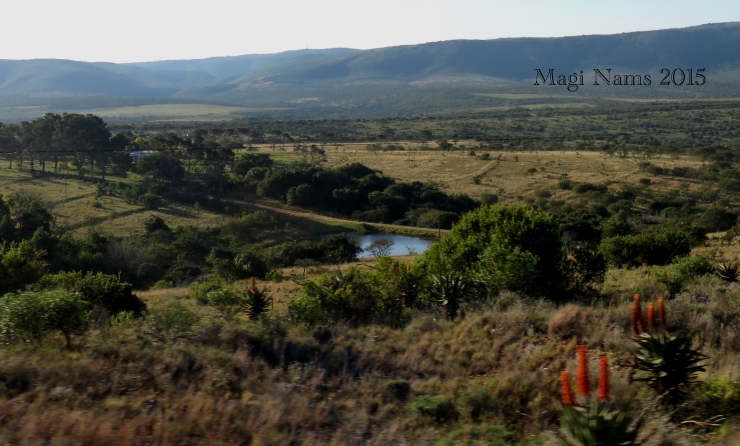 Six Months in South Africa: Destination: Grahamstown: African Landscape near Grahamstown (© Magi Nams)
