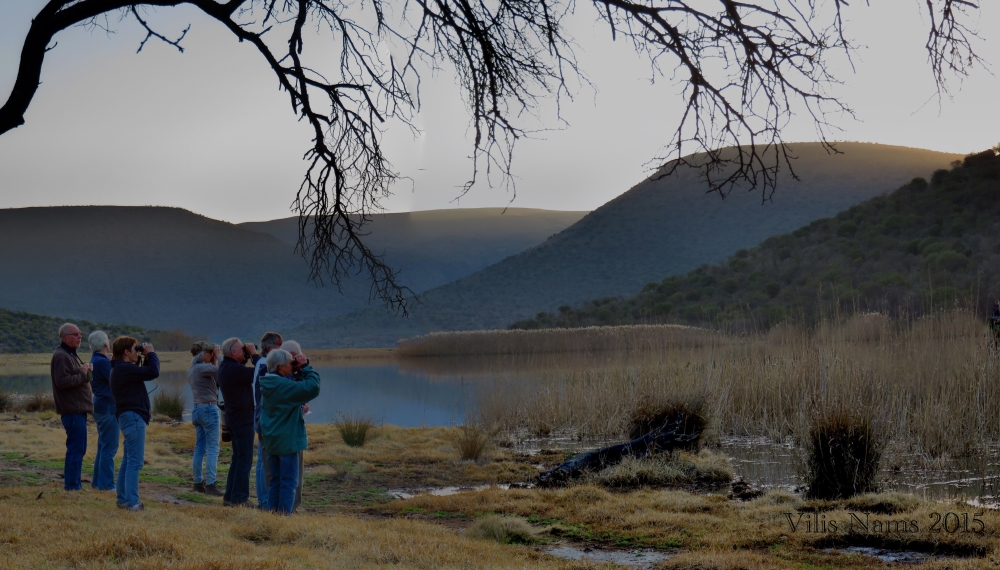 Six Months in South Africa: Birding in Baviaans River Valley: Diaz Cross Bird Clubbers birding at a dam in Baviaans River Valley (© Vilis Nams)