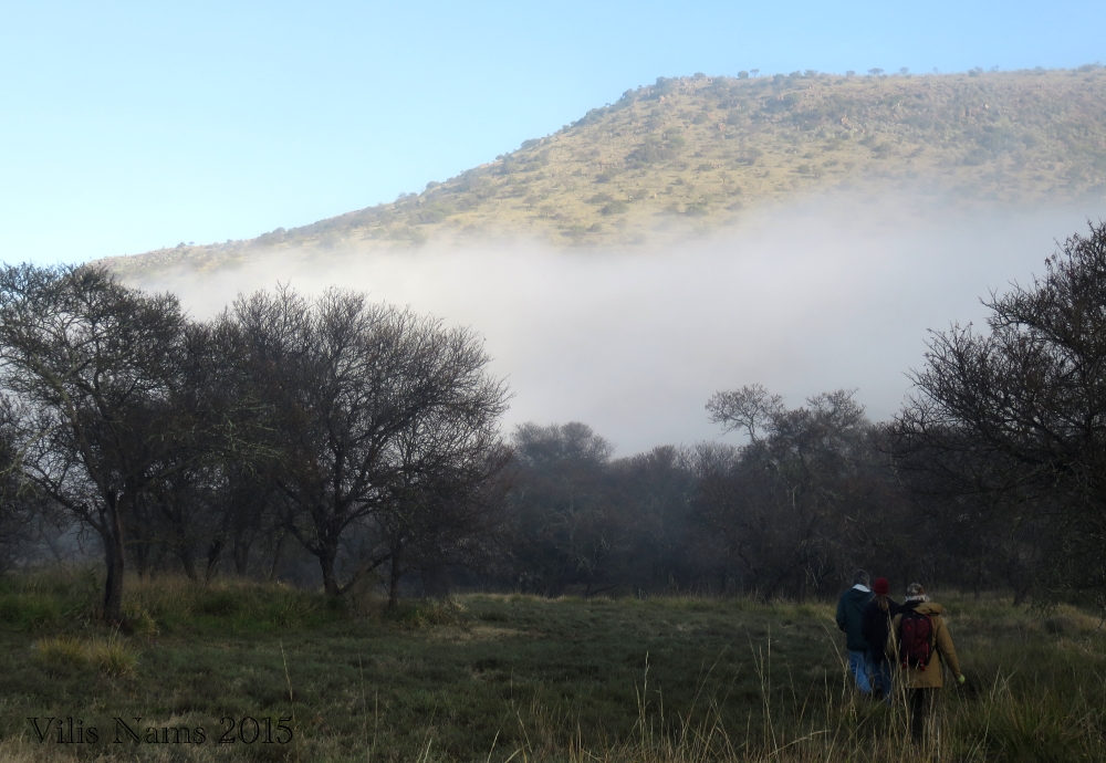 Six Months in South Africa: Birding in Baviaans River Valley: Misty Morning at Huntly Glen, Baviaans River Valley (© Vilis Nams)