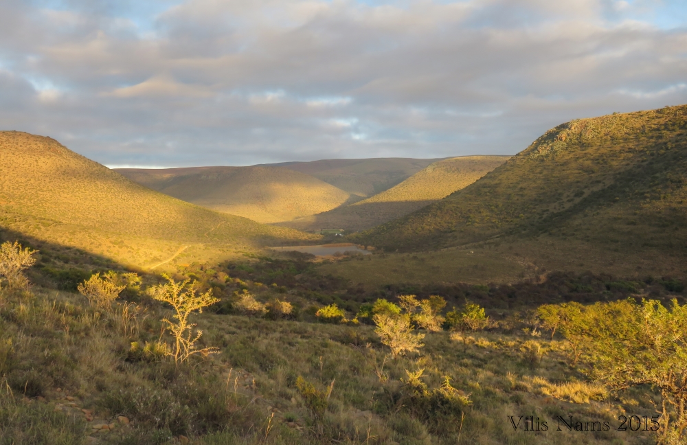 Six Months in South Africa: Birding in Baviaans River Valley: Morning Sun on Baviaans River Valley (© Vilis Nams)