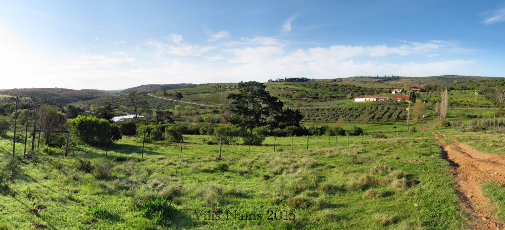Six Months in South Africa: Birding at Springvale Olive Estate: Springvale Olive Estate (© Vilis Nams)