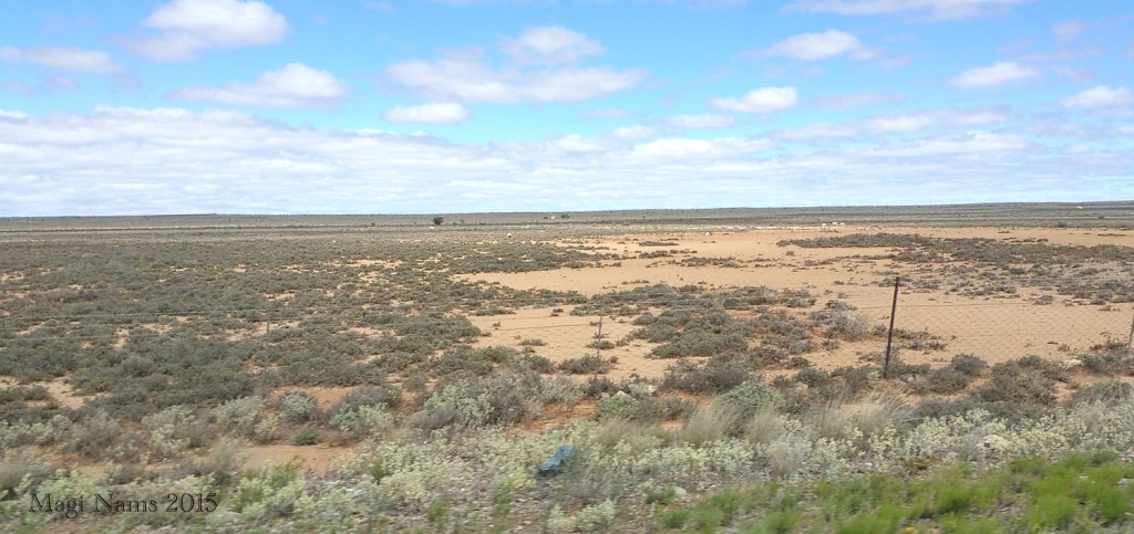 Six Months in South Africa: Karoo National Park: Semi-desert Rangeland in the Great Karoo (© Magi Nams) 