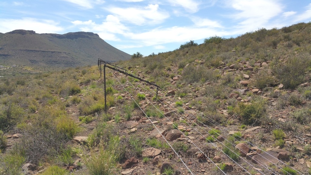 Six Months in South Africa: Karoo National Park: Electrified Predator-proof Fence (© Magi Nams)