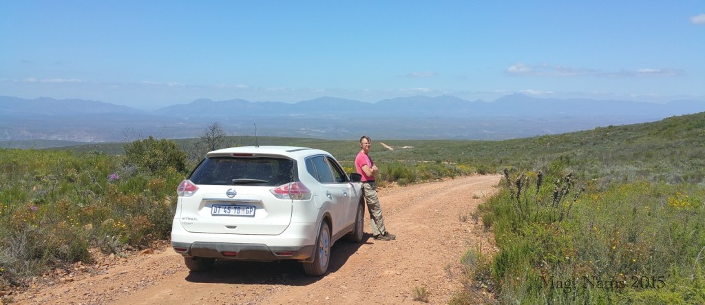 Six Months in South Africa: Klein Karoo: On Rooiberg Pass (© Magi Nams)