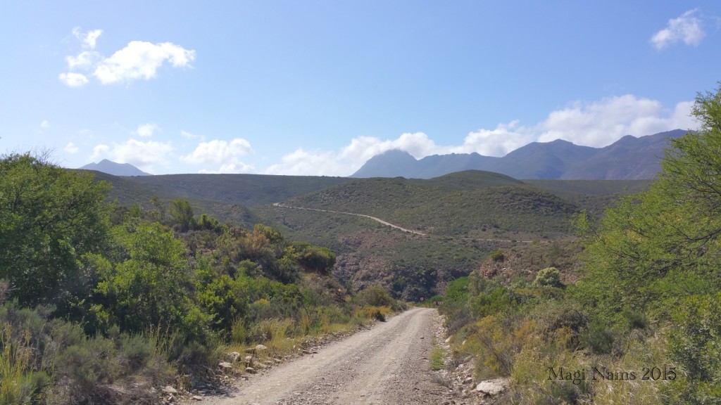 Six Months in South Africa: Cloetes Pass: Cloetes Pass (© Magi Nams)