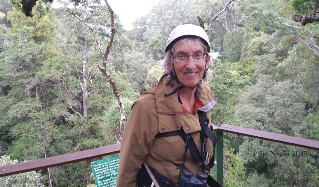 Six Months in South Africa: Tsitsikamma Forest Canopy Tour: Here, I'm on a landing platform during the canopy tour. (© Vilis Nams) 