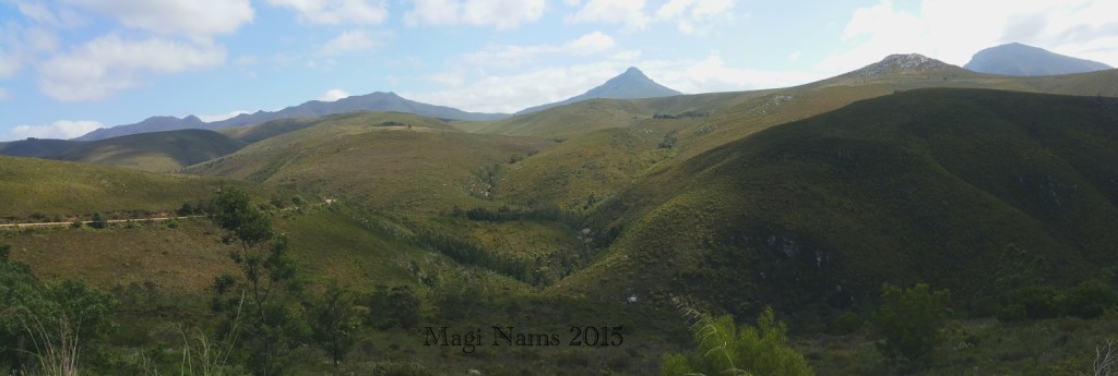 Six Months in South Africa: Cloetes Pass: Cloetes Pass Summit (© Magi Nams)