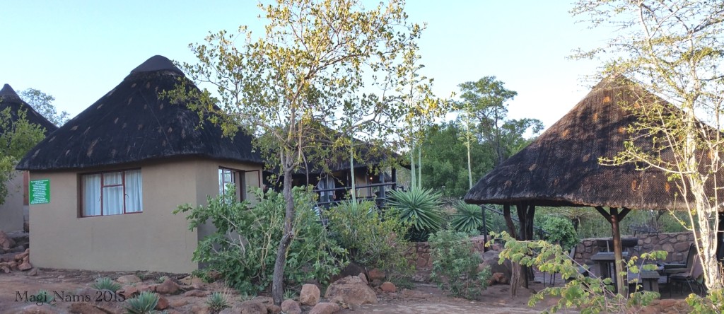 Six Months in South Africa: Tracking Wildlife in Limpopo: Pitsi Camp, Mabalingwe Nature Reserve (© Magi Nams)