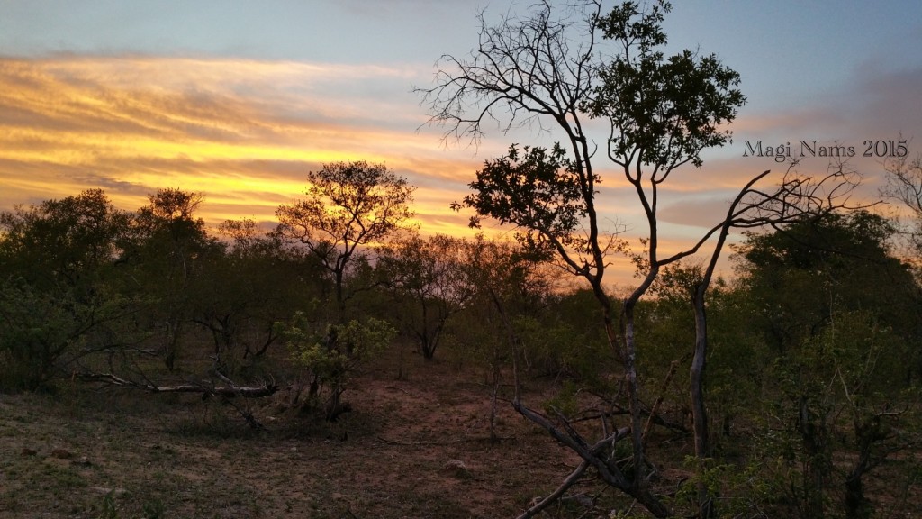 Six Months in South Africa: Kruger National Park: Sunset in Kruger National Park (© Magi Nams)