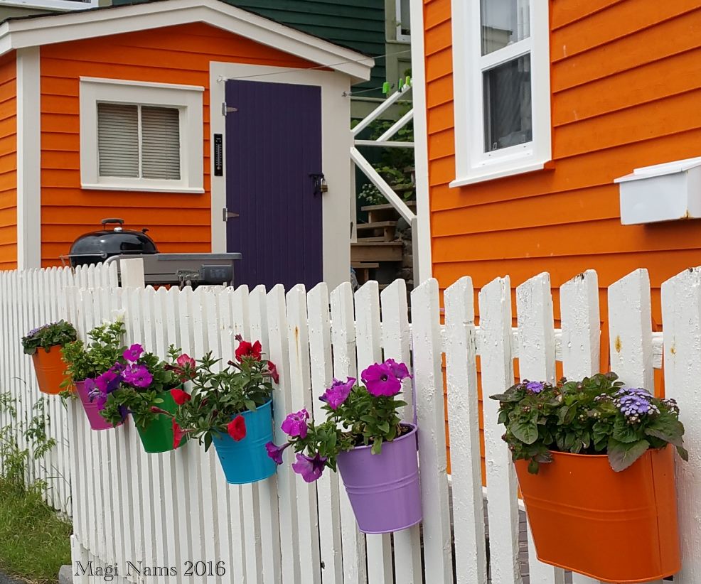 Exploring Canada: St. John's, Newfoundland and Labrador – City on the Eastern Tip of North America: St. John's Summer Colour (© Magi Nams)