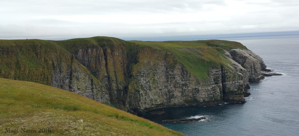 Hiking in Canada: Cape St. Mary's Ecological Reserve, Newfoundland and Labrador: Cape St. Mary's (©Magi Nams)