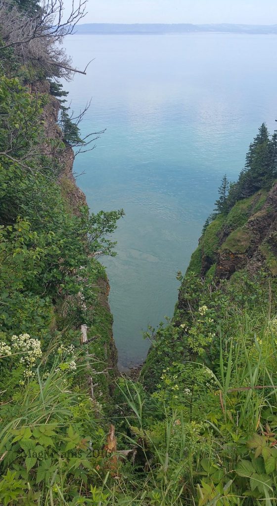 Hiking in Canada: Cape Split, Nova Scotia: View of Cliffs from Cape Split Trail (© Magi Nams)