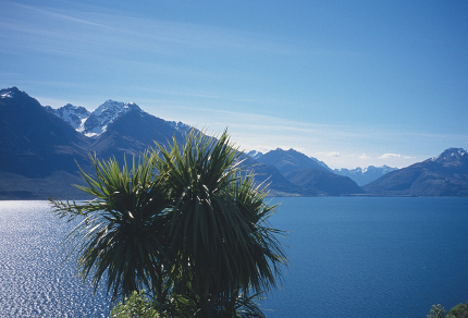 Once a Land of Birds: Lake Wakatipu, South Island, New Zealand (© Magi Nams)