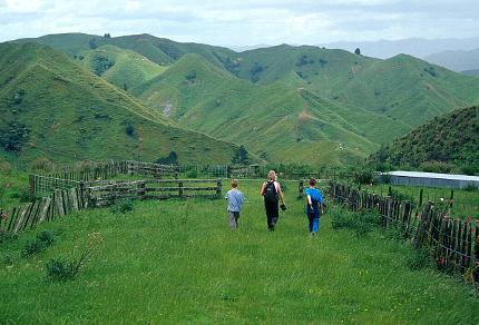 My New Zealand Travel Trilogy, Cry of the Kiwi: A Family's New Zealand Adventure:i Hiking on North Island, New Zealand (© Vilis Nams)