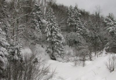 Winter's Subtle Beauty: Matheson Brook in Winter (© Magi Nams)