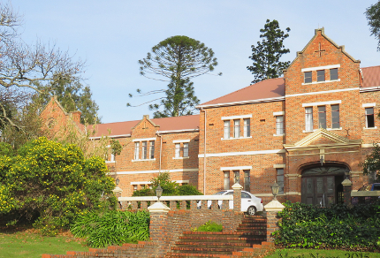Six Months in South Africa: Winter Morning in Grahamstown: Bunya Pine (Centre) on Rhodes University Campus (© Magi Nams)