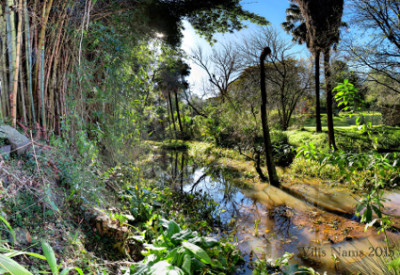 Six Months in South Africa: Makana Botanical Gardens, Grahamstown: Makana Botanical Gardens (© Vilis Nams)