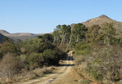 Six Months in South Africa: Birding in Baviaans River Valley: Farm Track at Huntly Glen in Baviaans River Valley (© Magi Nams)
