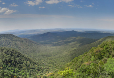 Six Months in South Africa: Hiking in Fort Fordyce Nature Reserve: Afromontane Forest, seen from Bushbuck Trail Lookout, Fort Fordyce Nature Reserve (© Vilis Nams)