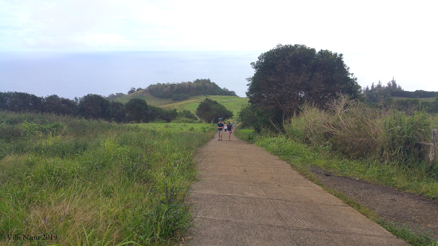 Hiking in America: West Maui Mountains: Waihe'e Ridge Trail near trailhead (© Vilis Nams)