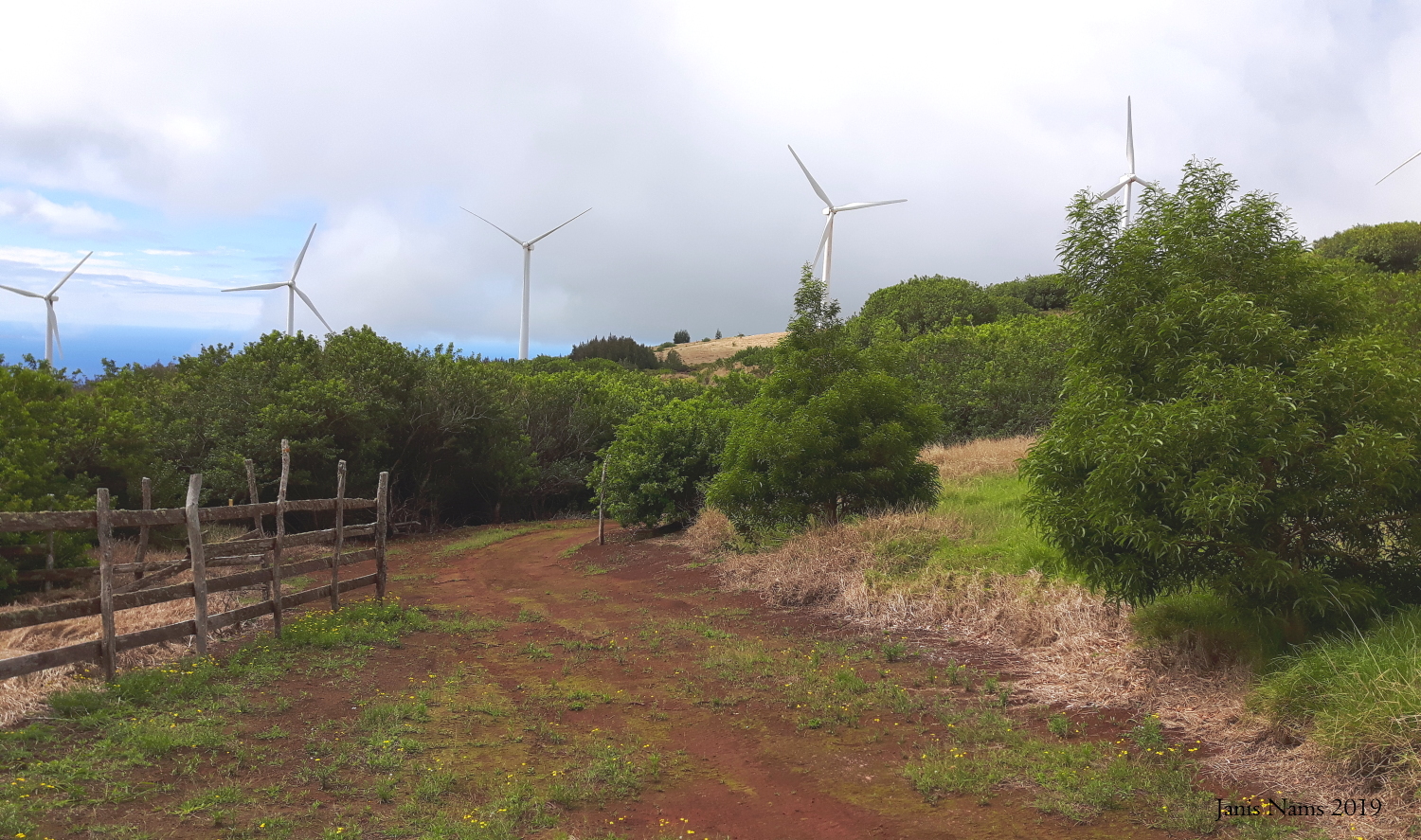 Lahaina Pali trail approaching Kaheawa Wind Farm (© Janis Nams 2019)