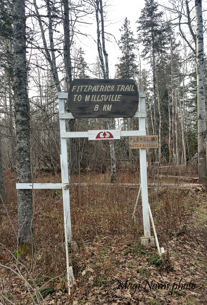 Fitzpatrick Mountain Trail sign