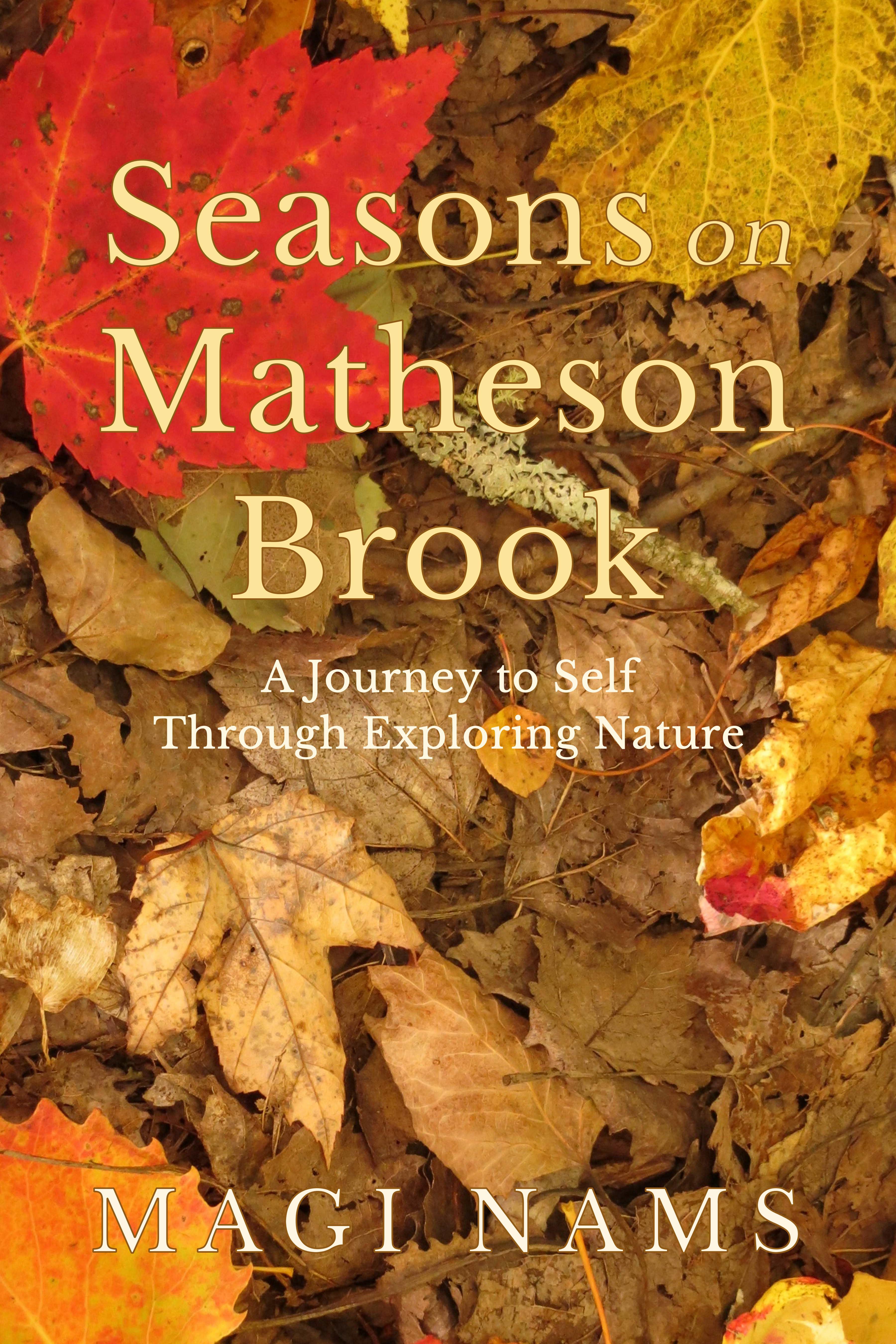 NEW! Seasons on Matheson Brook is now available in paperback and ebook formats. Click on image below for book details.